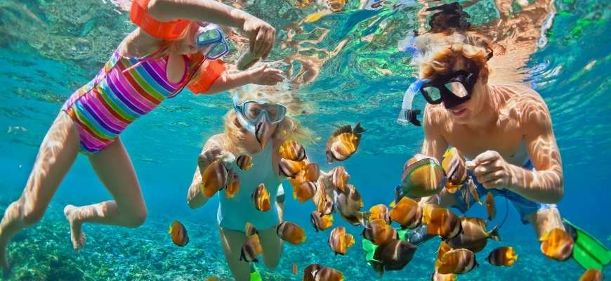 Snorkeling in Andaman