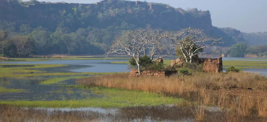 Ranthambore bike Tour with RenTrip 