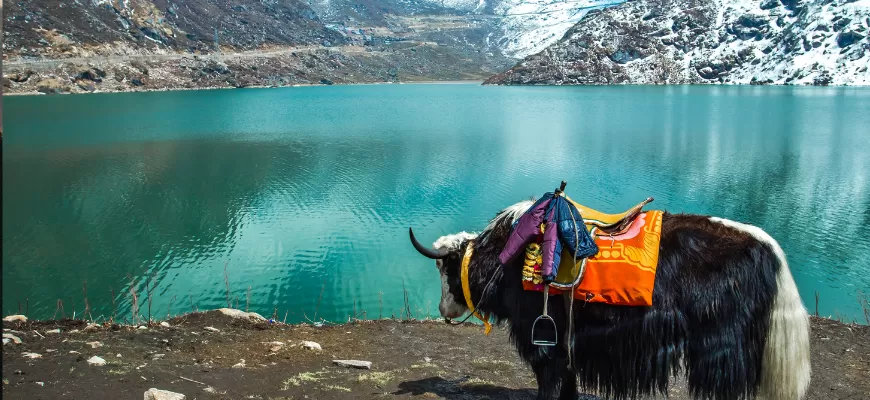 Gangtok tour with RenTrip