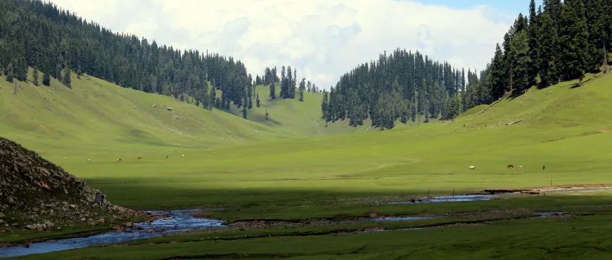 Bangus Valley 